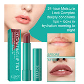 Moisturizing Plumping Tinted Lip Gloss